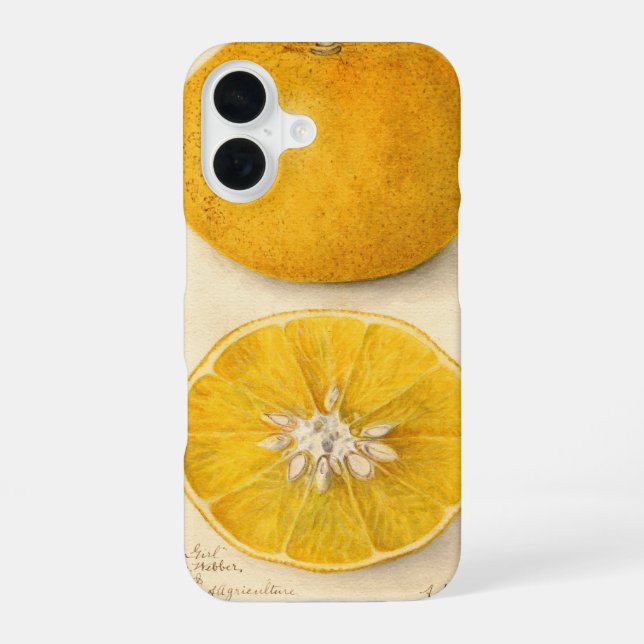 Beautiful Orange Artwork iPhone 16 Case (Back)