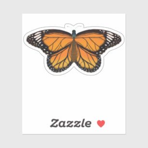 Beautiful Orange Butterfly Drawing Painting