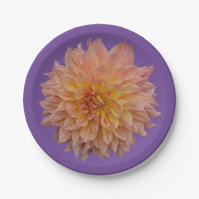 Beautiful orange dahlia paper plate (Front)