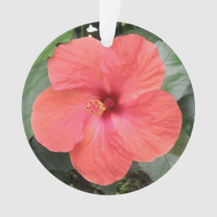 Beautiful Orange Hibiscus Flower Acrylic Ornament