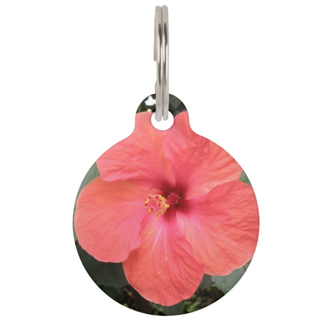 Beautiful Orange Hibiscus Flower Dog Tag (Front)