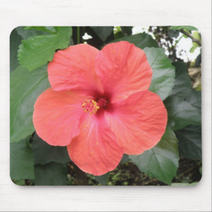 Beautiful Orange Hibiscus Flower Mousepad