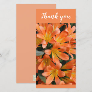Beautiful Orange Kaffir Lily Flowers Thank You Card