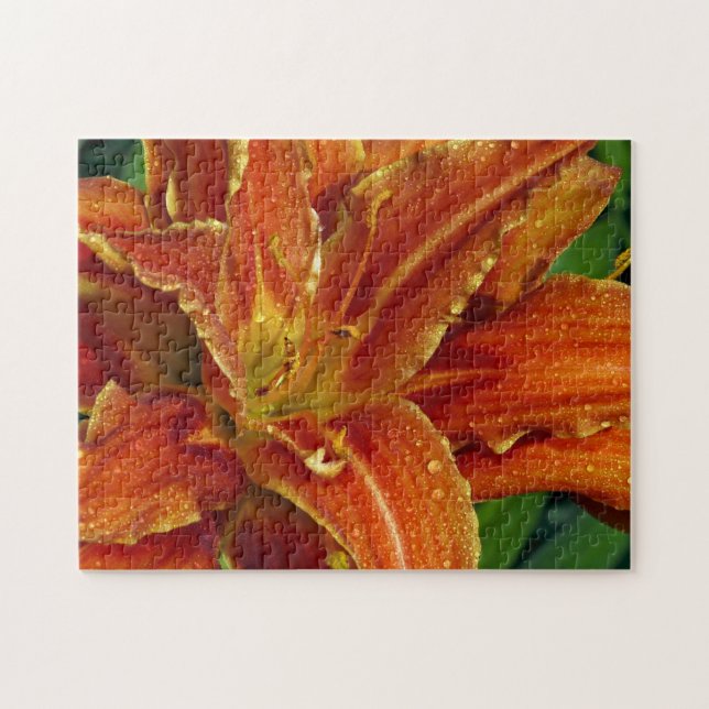 Beautiful orange lily puzzle (Horizontal)