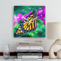 Beautiful orange monarch butterfly close-up photo