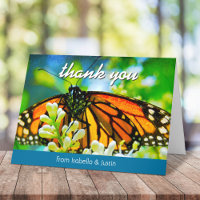 Beautiful orange monarch butterfly modern script