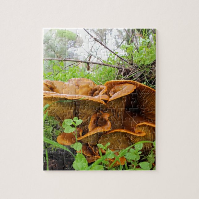 Beautiful Orange Mushroom Puzzle (Vertical)