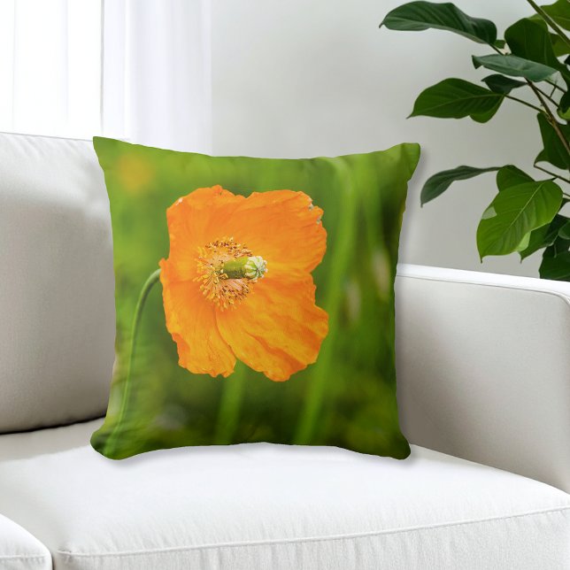 Beautiful Orange Poppy Flower Summer Photo Green Cushion (Creator Uploaded)