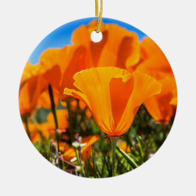 Beautiful Orange Poppy Flowers in a Field Ceramic Tree Decoration (Front)