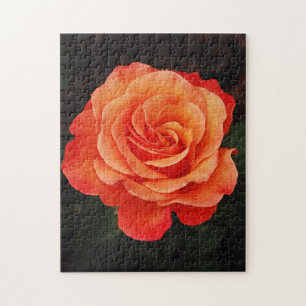Beautiful orange rose print puzzle