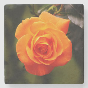 Beautiful Orange Rose Stone Coaster