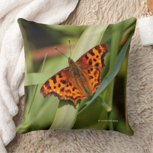 Beautiful Orange Satyr Comma Butterfly Cushion