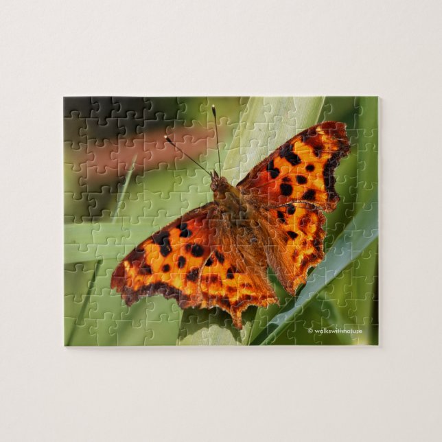 Beautiful Orange Satyr Comma Butterfly Jigsaw Puzzle (Horizontal)