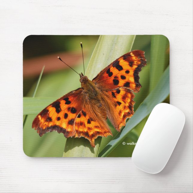 Beautiful Orange Satyr Comma Butterfly Mouse Mat (With Mouse)