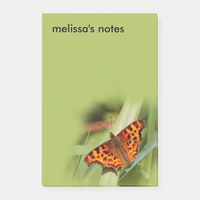 Beautiful Orange Satyr Comma Butterfly Post-it Notes (Front)