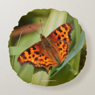 Beautiful Orange Satyr Comma Butterfly Round Cushion