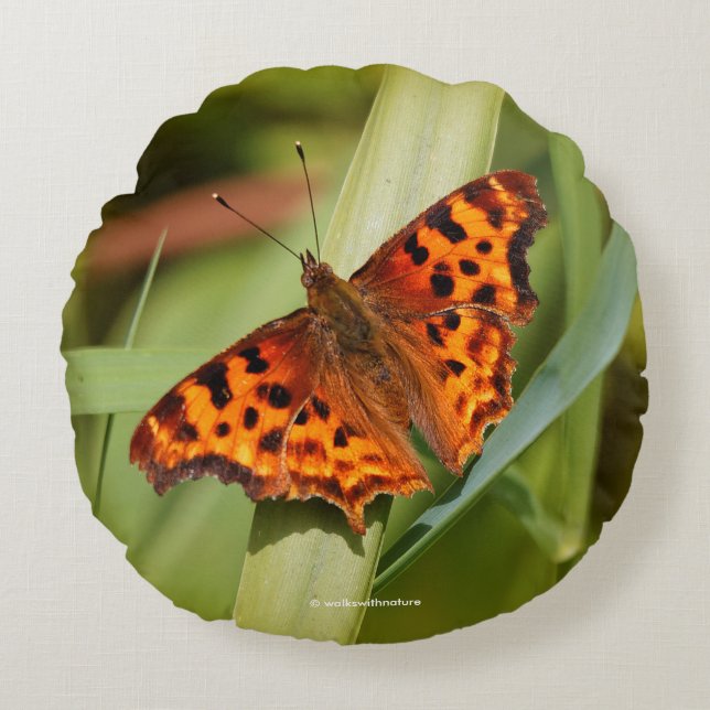Beautiful Orange Satyr Comma Butterfly Round Cushion (Front)