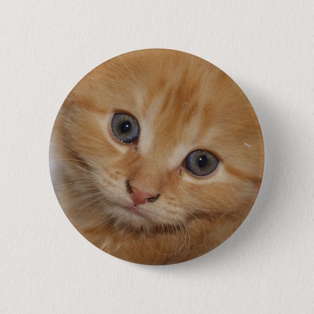 Beautiful Orange Tabby Kitten 6 Cm Round Badge (Front)