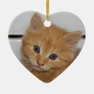 Beautiful Orange Tabby Kitten Ceramic Tree Decoration