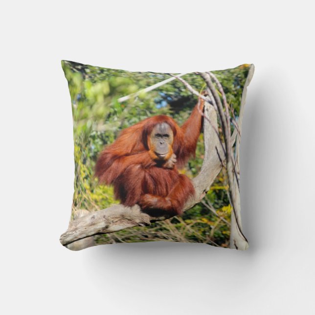Beautiful Orangutan photo Cushion (Front)