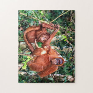 Beautiful Orangutans w/Baby Jigsaw Puzzle