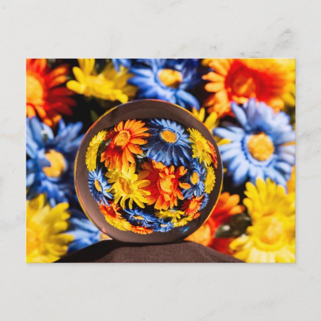 Beautiful Orb Flowers Colours Postcard (Front)