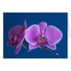 Beautiful Orchid Card