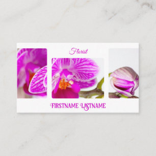 Beautiful orchid for floristic and flower experts business card