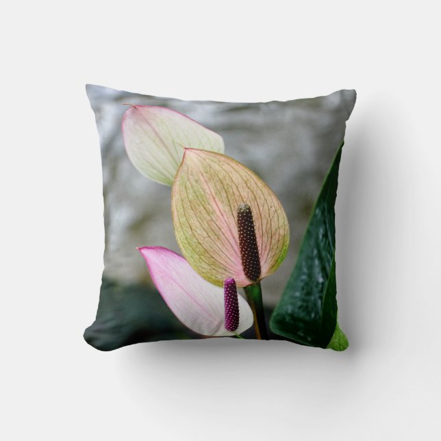 Beautiful Orchid Pillow (Front)
