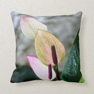 Beautiful Orchid Pillow