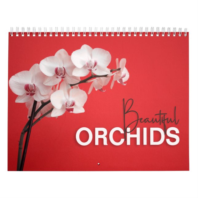 Beautiful Orchids with Notes Wall Calendar (Cover)