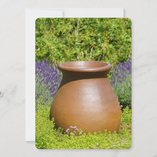 Beautiful Ornamental pot (Front)