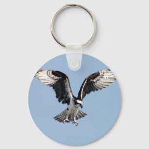 Beautiful Osprey bird Searching for prey Key Ring