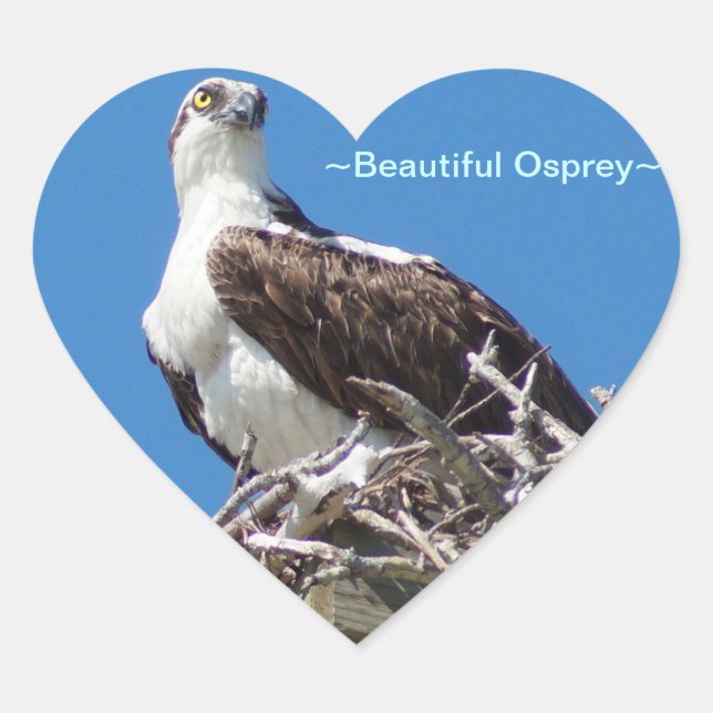 Beautiful Osprey Hawk Heart Sticker (Front)