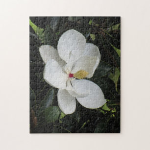 Beautiful Outdoor Scenery Puzzle