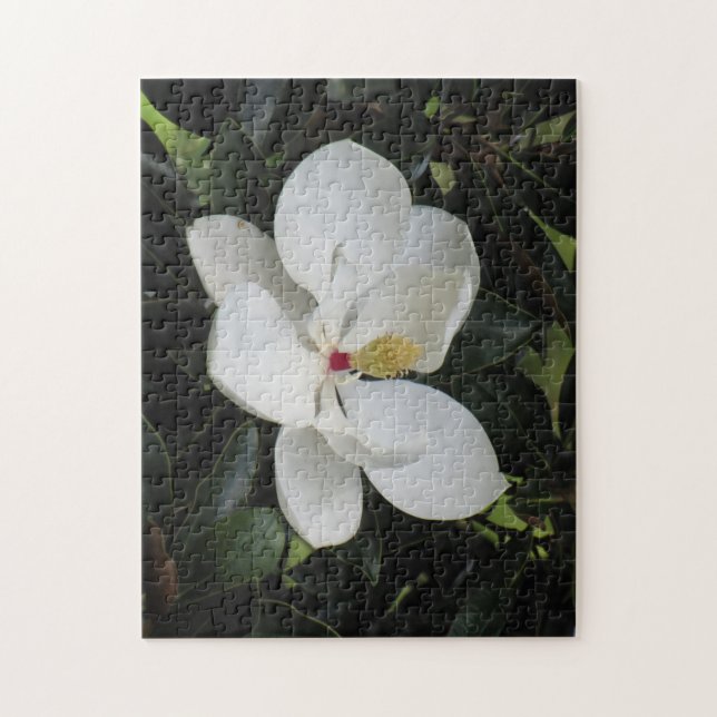 Beautiful Outdoor Scenery Puzzle (Vertical)