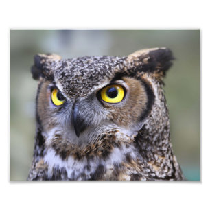 Beautiful Outdoor Wildlife Scenery Photo Print