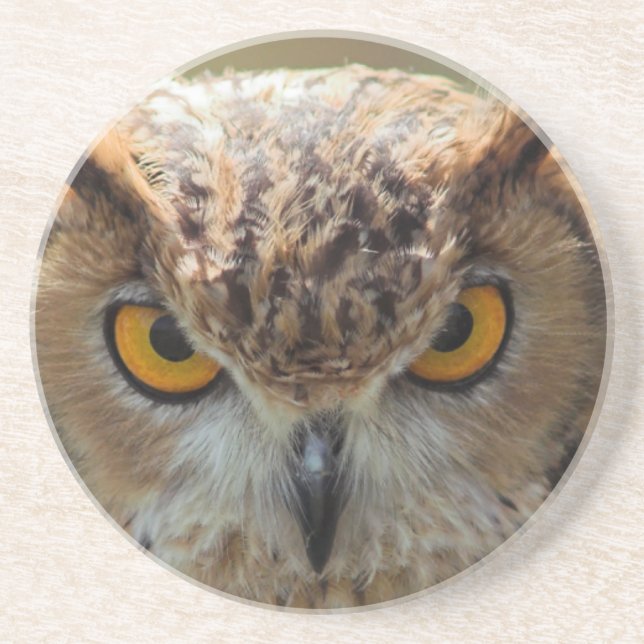Beautiful Owl Coaster (Front)