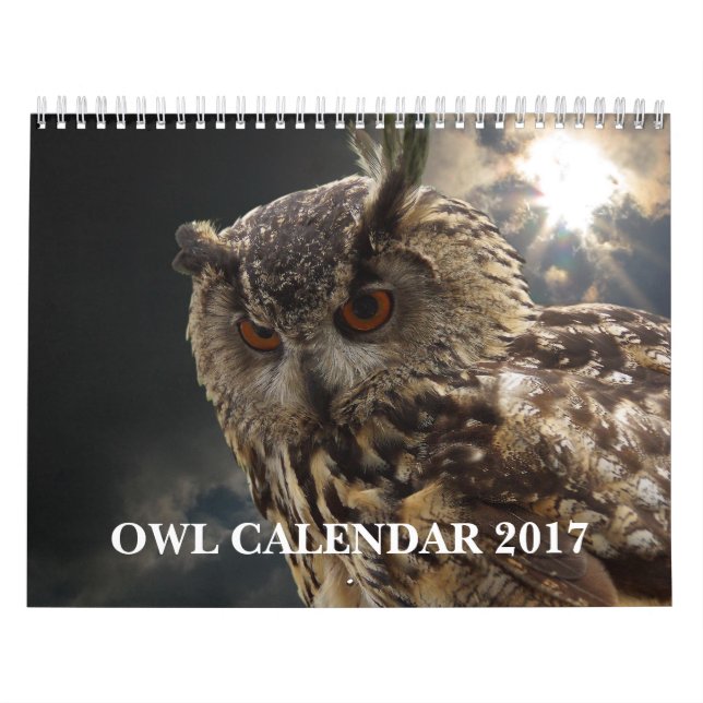 Beautiful Owl Pictures and Images 2026 Calendar (Cover)