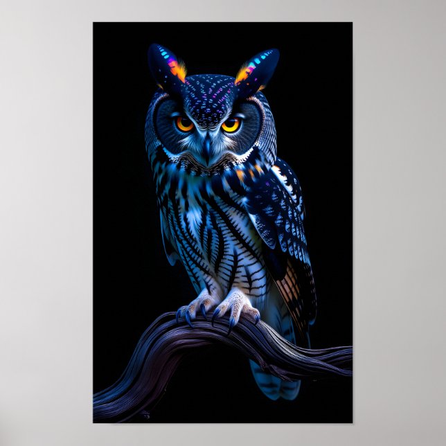 Beautiful Owl Poster (Front)