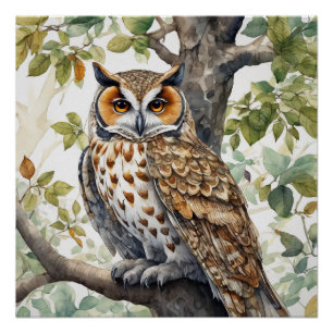 Beautiful Owl Sitting on a Tree Branch  Poster