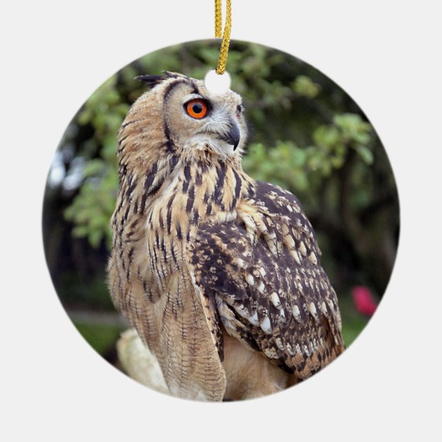 Beautiful Owl Wildlife Photo Gifts Ceramic Tree Decoration (Front)