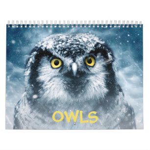 Beautiful Owls Elegant Wall Calendar