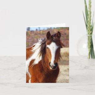 Beautiful Paint Horse Birthday Cards