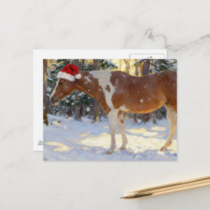 Beautiful Paint Horse Mare Christmas  Postcard