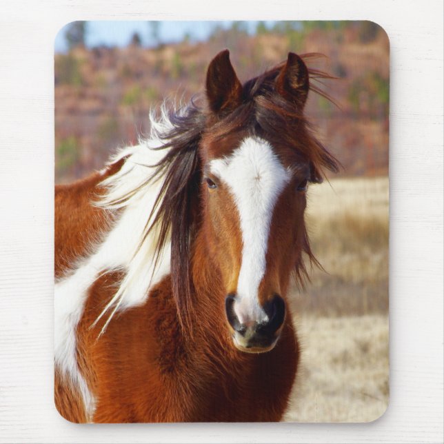 Beautiful Paint Horse Mousepad (Front)