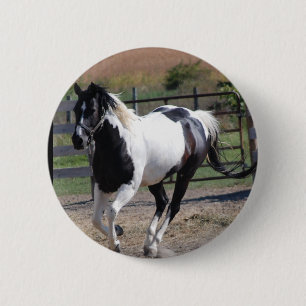 Beautiful Paint Pinto Horse 6 Cm Round Badge