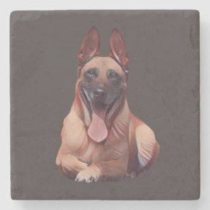 Beautiful Painted Belgian Malinois Marble Coaster