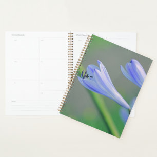Beautiful Pale Blue Purple Flower Planner
