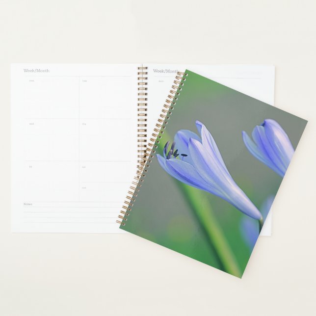 Beautiful Pale Blue Purple Flower Planner (Display)